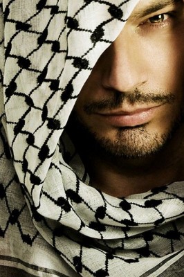 62ef5cae35863eaa4228435c6a068343.jpg (81.43 KiB) Viewed 20472 times 62ef5cae35863eaa4228435c6a068343.jpg